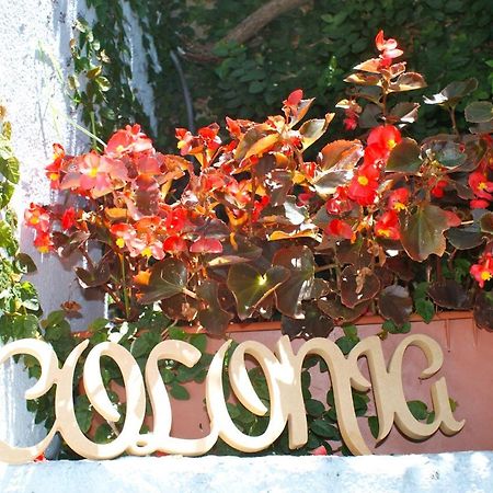 Estudio Taller De Tejas Colonia B&B Colonia del Sacramento Zewnętrze zdjęcie