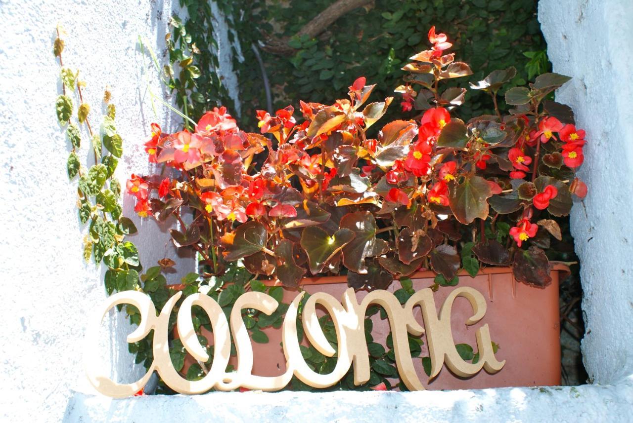 Estudio Taller De Tejas Colonia B&B Colonia del Sacramento Zewnętrze zdjęcie